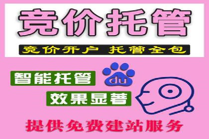 娱乐行业SEM服务托管的广告创意与执行
